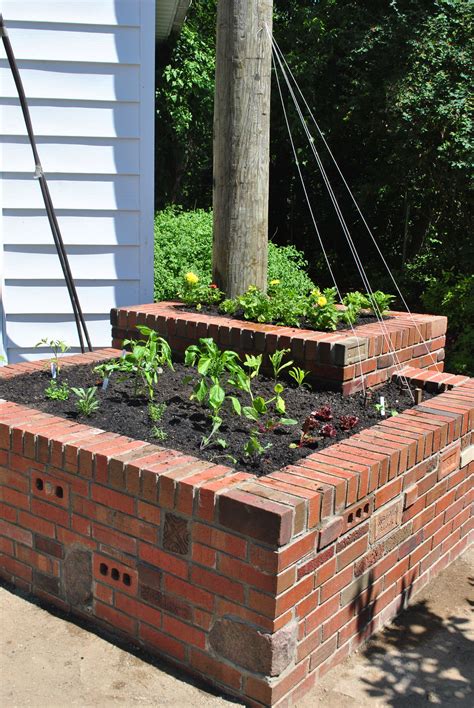 Salvaged Brick Raised Bed What I Think They Will Turn Out Like