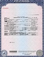 35 Georgia Death Certificate Template | Hamiltonplastering