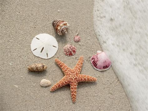 Five Of The Best Beaches For Beachcombing In The Us Best Us Beaches