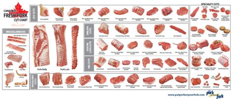 Pork Loin Anatomy