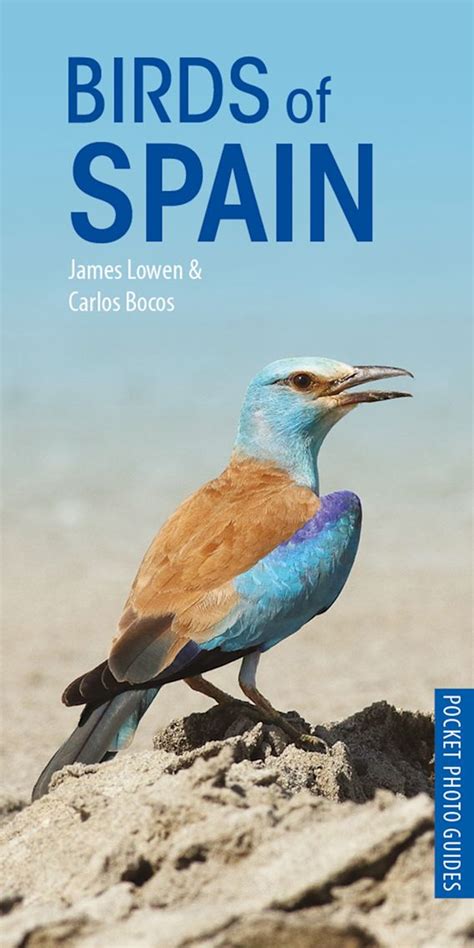 Birds Of Spain Pocket Photo Guides James Lowen Helm
