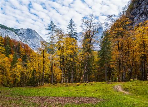 Autumn Alps Mountain Forest Near Gosauseen Or Vorderer Gosausee Lake