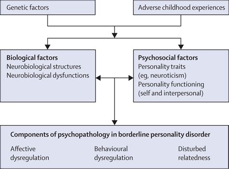 Borderline Personality Disorder The Lancet