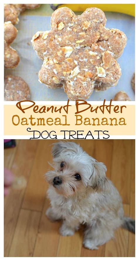 Saving this for a possible future dog. Peanut Butter Oatmeal Banana Dog Treats | Recipe ...