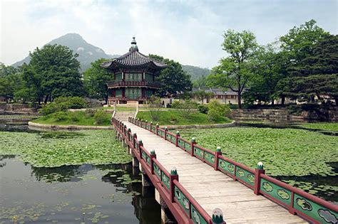 30 Seoul Korea Water Lily Formal Garden Stock Photos Pictures