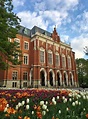 Jagiellonian University in Krakow | A Guide to Poland's Oldest University