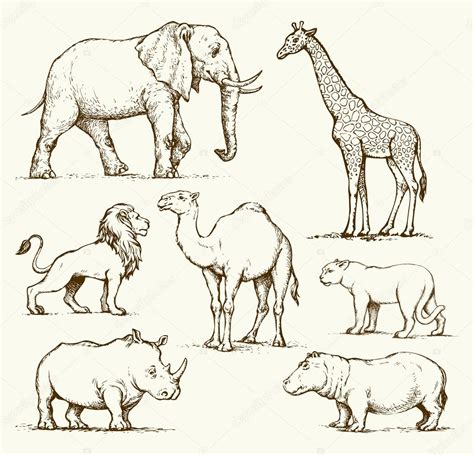 Some animals like baboons live in trees and animals like giraffes and elephants feed on their leaves. African Animal Drawing at GetDrawings | Free download