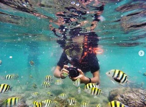 Bukit pentulu indah kebumen karangsambung kabupaten jawa tengah indonesia di denah gambar kelebihan lainnya dari tempat wisata ini adalah harga tiket masuk yang sangat terjangkau, yakni sekitar rp 5.000/ orang. Tempat Wisata Pantai di Jogja Terbaru 2021 Paling Indah dan Menarik