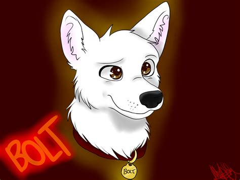 Big Ol Bolt Disneys Bolt Fan Art 36394758 Fanpop