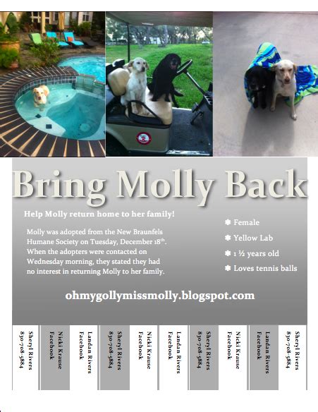 Missing Molly Missing Molly Goes Viral
