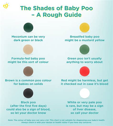 What Your Poop Turns Green