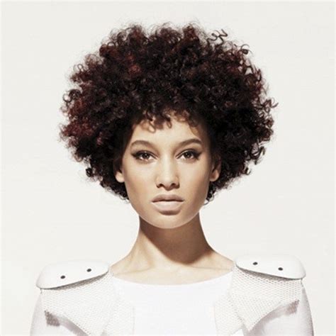 Curly Afro Hairstyles For Womens Fave Hairstyles Afro Hairstyles