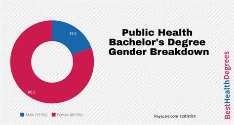What Are Some Jobs For Bs In Public Health The Best Health Degrees