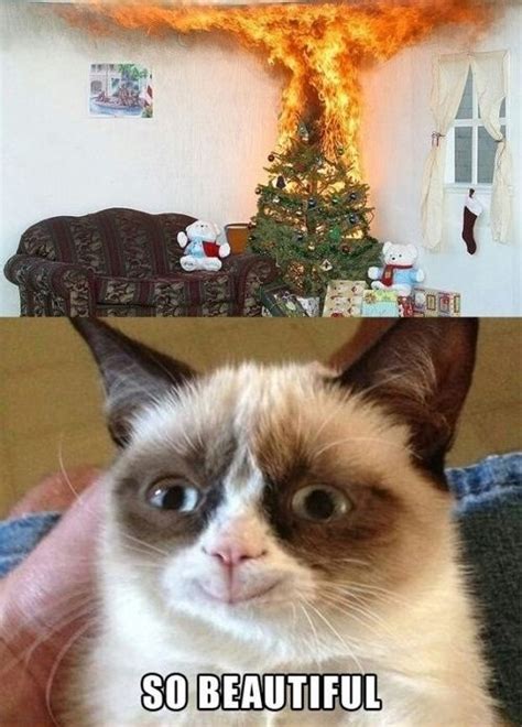 45 Best Funny Grumpy Cat Memes Of All Time Page 5 Of 5 The Viraler