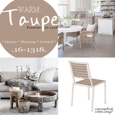 According to markatos lowe, this paint choice will perfectly complement the fresh pastel colors of a feminine space, creating a. PANTONE WARM TAUPE - Concepts and Colorways | Taupe color ...