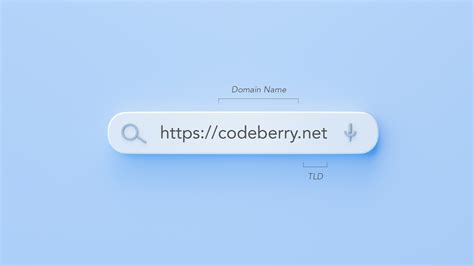 A Beginners Guide To Top Level Domains Tlds Codeberry