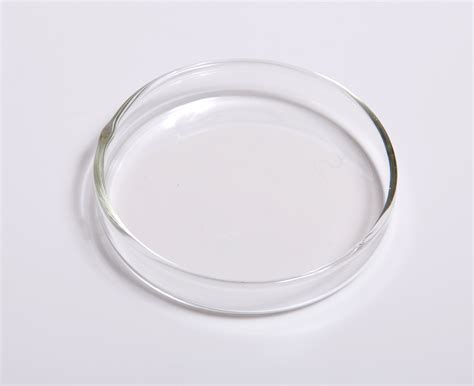 Fileglass Petri Dish