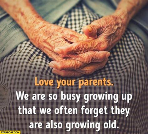 Love Your Parents We Are So Busy Growing Up That We Often