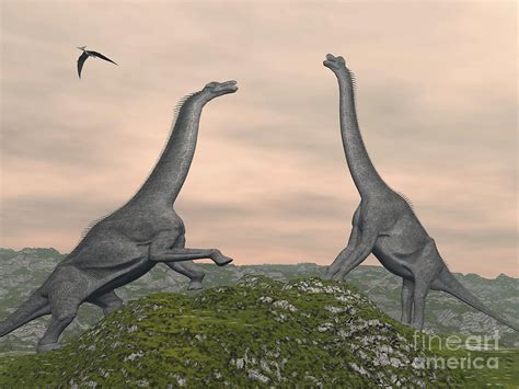 Two Brachiosaurus Dinosaurs Fighting Digital Art By Elena Duvernay