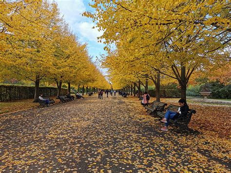 The Astonishing Beauty Of Regents Park In Autumn Twenty Photos