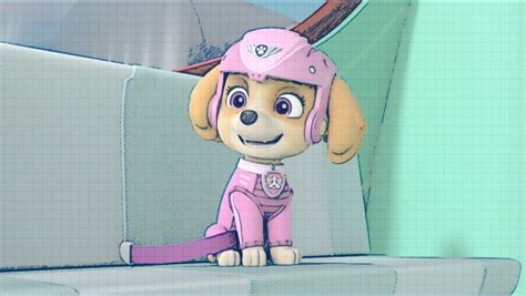 Skye Skye Paw Patrol Fan Art 42941405 Fanpop