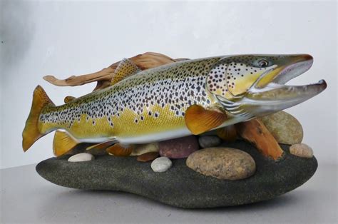 Realistic Rainbow Brown Cutthroat Trout Fish Replicas Fish Mounts By