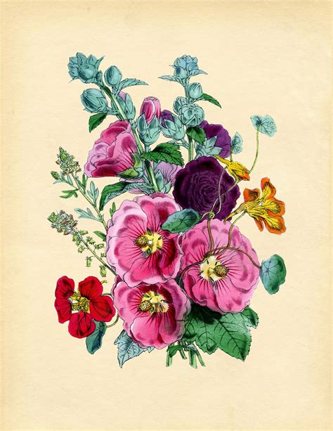 Remodelaholic | 25 Free Printable Vintage Floral Images