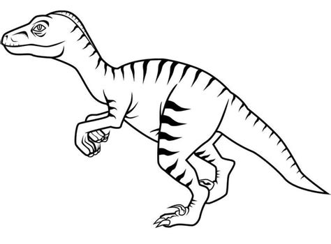 Desenhos De Velociraptor Perigoso 1 Para Colorir E Imprimir