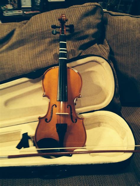 Got A New Violinyay Violin Cool Stuff Music Instruments