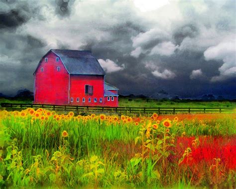 The Red Barn Art 16x20 Art Photography Nature Sunflowers Etsy