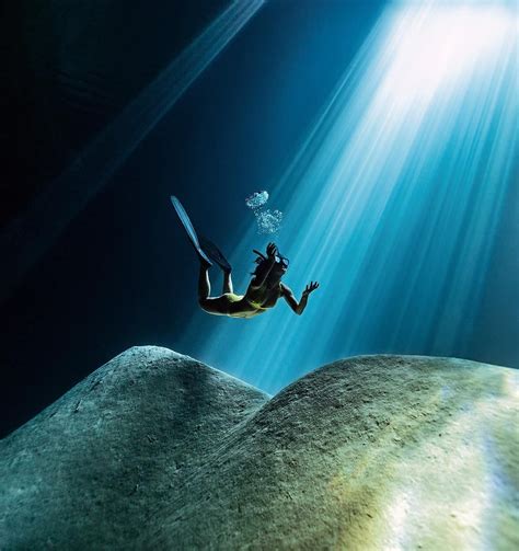 Freediving Underwater Art Underwater Photography Underwater Photos