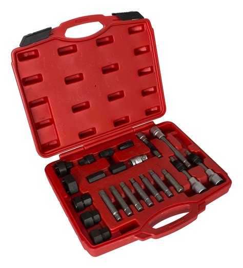 Buy Alternator Repair Kit 22 Pieces At Pela Tools