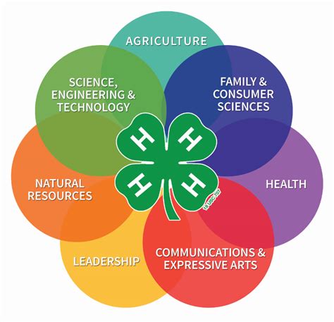 What Is 4 H Nc Cooperative Extension