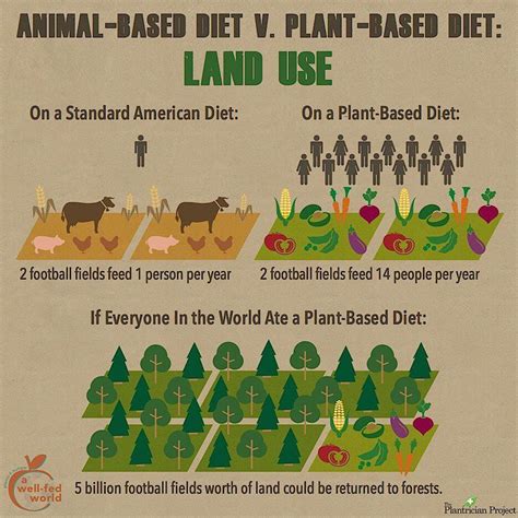 Animal Based Vs Plant Based Diet Land Use Rinfographics