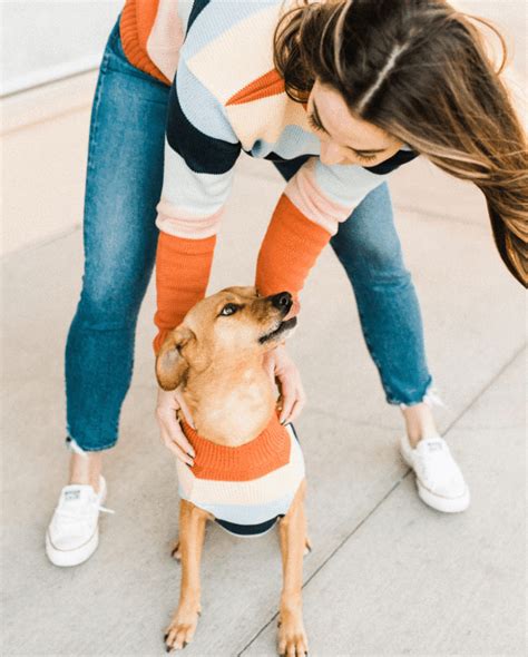 Retro Stripe Sweater Matching Sizes For Dogs Humans In 2020 Dog