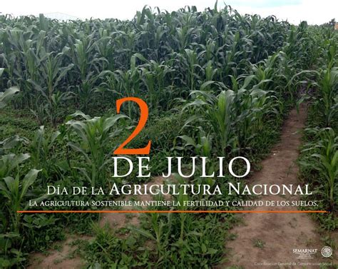 En méxico se celebra el día del niño cada 30 de abril, aunque a nivel mundial, esta fecha se conmemora el 20 de noviembre. El 2 de julio se celebra en méxico el #díadelaagricultura ...