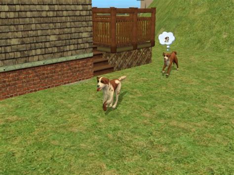 Mod The Sims Border Collies