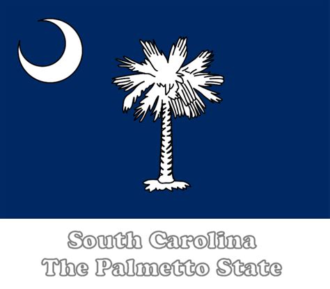 Large Horizontal Printable South Carolina State Flag From Netstatecom