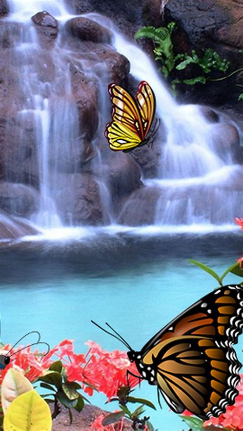 Butterfly Pictures Backgrounds For Android 2020 Android