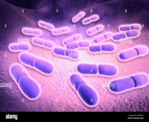 Microscopic View Of Listeria Monocytogenes Stock Photo Alamy
