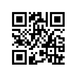 That's a perfectly normal qr code. overview for 3DS_QR_Bot