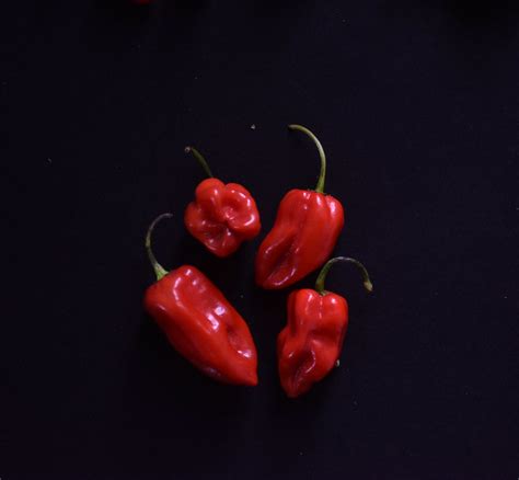 The Fresh Peppers Of Nigeria Kitchen Butterfly