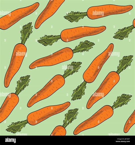 Fresh Seamless Pattern With Carrots Vector Format Stock Vector Image