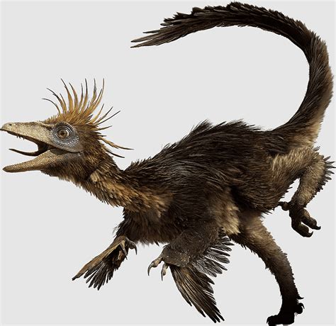Hesperonychus Dinosaur Intelligence Troodontidae Campanian