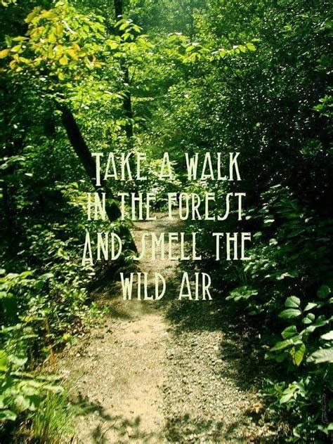 American Hippie ☮ A Walk In The Forest Nature Quotes