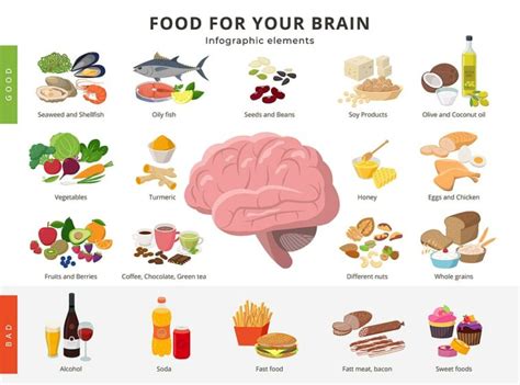 Foods That Improve Brain Function Memory And Concentration Mother Of Health