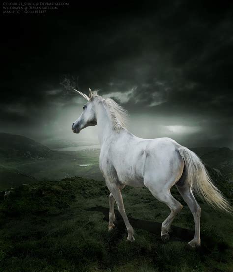 White Unicorn By Its Kat Yo On Deviantart