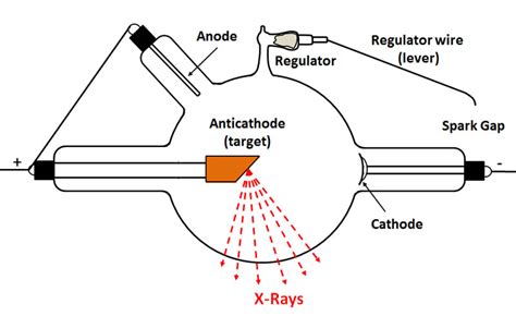X Ray Tube Cathode