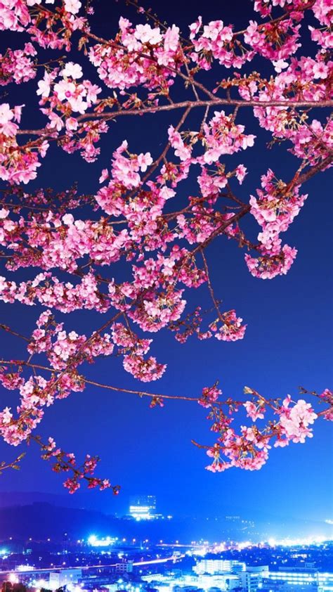 Cherry Blossom Iphone Wallpaper Kolpaper Awesome Free Hd Wallpapers