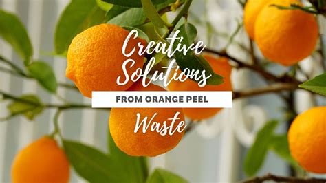 Creating Solutions From Orange Peel Waste · Eorth